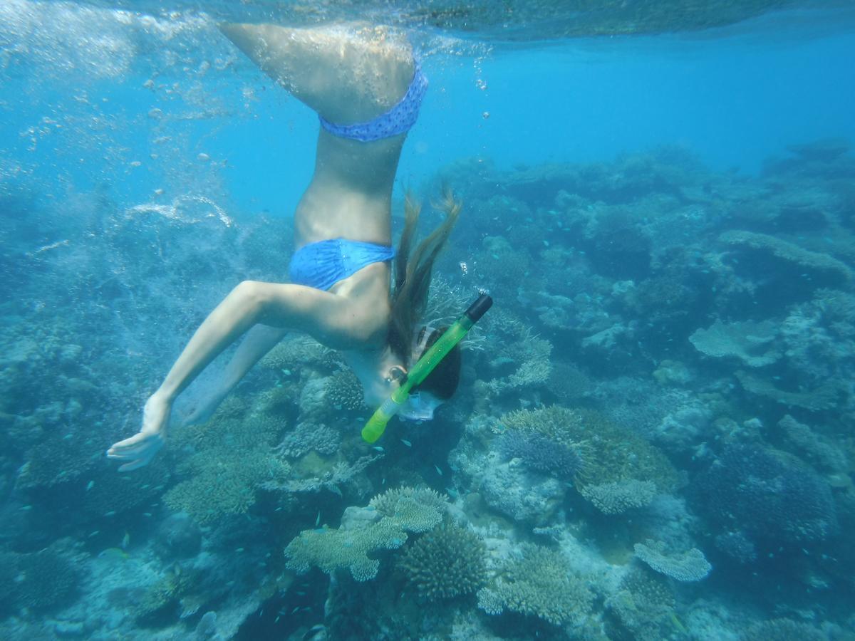 Готель Surf Trip Maldives Тулусдгу Екстер'єр фото